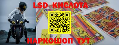 твердый Сланцы