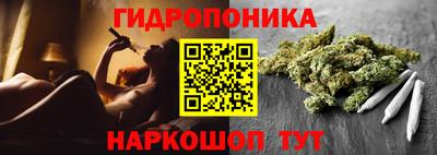 твердый Сланцы