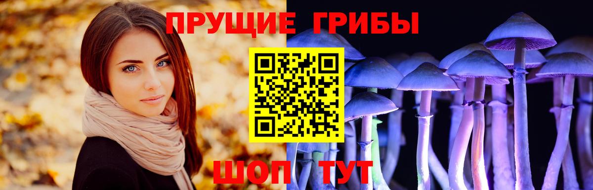 Острогожск  Псилоцибиновые грибы GOLDEN TEACHER  Вход с VPN 